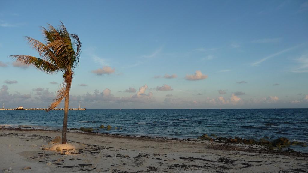 Rancho Sakol Hotel Puerto Morelos Kültér fotó